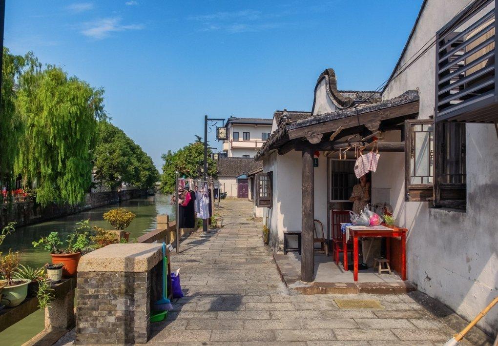 当“小平菇”遇上“山益宝”